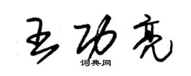 朱錫榮王功亮草書個性簽名怎么寫