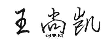 駱恆光王尚凱行書個性簽名怎么寫