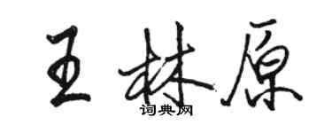 駱恆光王林原行書個性簽名怎么寫