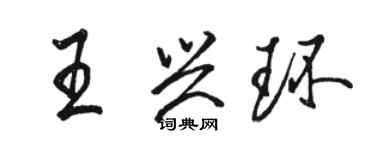 駱恆光王興環行書個性簽名怎么寫