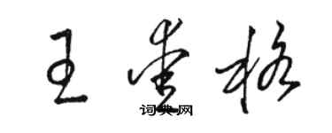 駱恆光王愛格草書個性簽名怎么寫