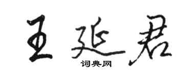 駱恆光王延君行書個性簽名怎么寫