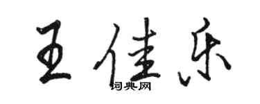 駱恆光王佳樂行書個性簽名怎么寫