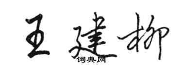 駱恆光王建柳行書個性簽名怎么寫