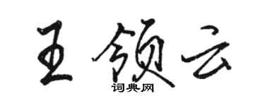 駱恆光王領雲行書個性簽名怎么寫