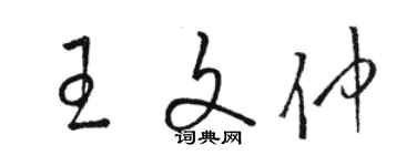 駱恆光王文仲草書個性簽名怎么寫