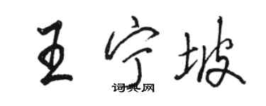 駱恆光王寧坡行書個性簽名怎么寫