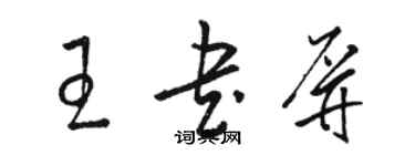 駱恆光王書屏草書個性簽名怎么寫