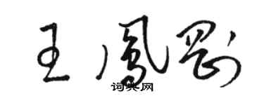 駱恆光王鳳剛草書個性簽名怎么寫