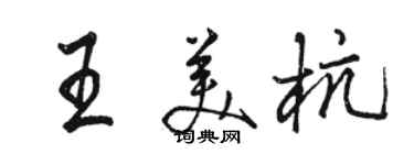 駱恆光王美杭行書個性簽名怎么寫