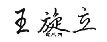 駱恆光王旋立行書個性簽名怎么寫