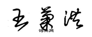 朱錫榮王菊洪草書個性簽名怎么寫