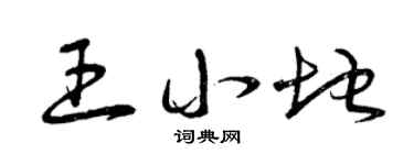 曾慶福王小地草書個性簽名怎么寫