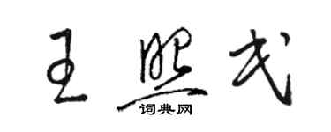 駱恆光王照民草書個性簽名怎么寫