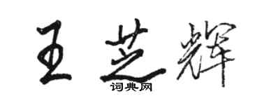 駱恆光王芝輝行書個性簽名怎么寫