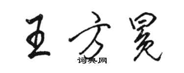 駱恆光王方冕行書個性簽名怎么寫