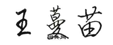 駱恆光王蔓苗行書個性簽名怎么寫