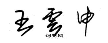 朱錫榮王雲申草書個性簽名怎么寫