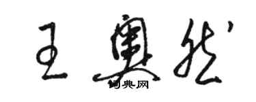 駱恆光王奧然草書個性簽名怎么寫