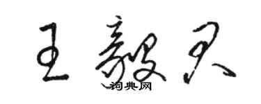 駱恆光王毅君草書個性簽名怎么寫