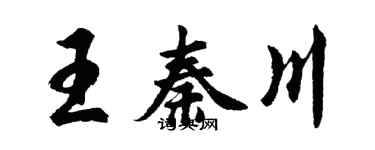 胡問遂王秦川行書個性簽名怎么寫