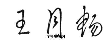 駱恆光王月暢草書個性簽名怎么寫