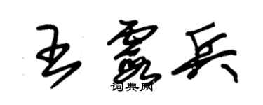 朱錫榮王霞兵草書個性簽名怎么寫