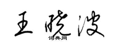 梁錦英王曉波草書個性簽名怎么寫