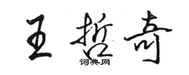 駱恆光王哲奇行書個性簽名怎么寫