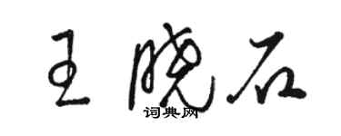 駱恆光王曉石草書個性簽名怎么寫