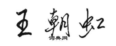 駱恆光王朝虹行書個性簽名怎么寫