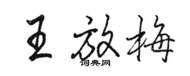 駱恆光王放梅行書個性簽名怎么寫