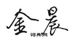 駱恆光金晨行書個性簽名怎么寫