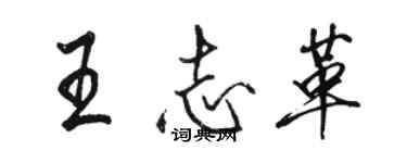 駱恆光王志革行書個性簽名怎么寫