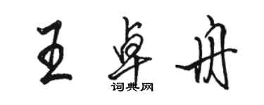 駱恆光王卓舟行書個性簽名怎么寫