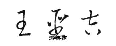 駱恆光王聖吉草書個性簽名怎么寫