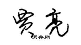 朱錫榮賈亮草書個性簽名怎么寫