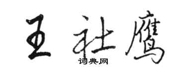 駱恆光王社鷹行書個性簽名怎么寫