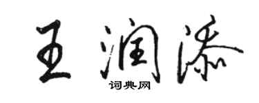 駱恆光王潤添行書個性簽名怎么寫