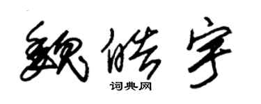 朱錫榮魏皓宇草書個性簽名怎么寫