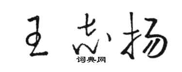 駱恆光王志揚草書個性簽名怎么寫