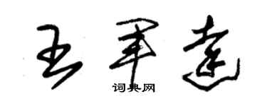 朱錫榮王軍達草書個性簽名怎么寫