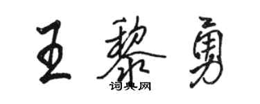 駱恆光王黎勇行書個性簽名怎么寫