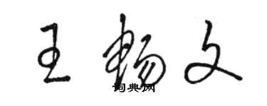 駱恆光王暢文草書個性簽名怎么寫