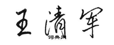 駱恆光王清軍行書個性簽名怎么寫