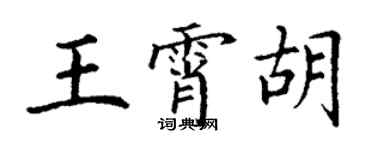 丁謙王霄胡楷書個性簽名怎么寫