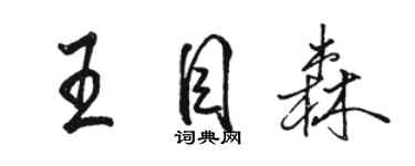 駱恆光王目森行書個性簽名怎么寫