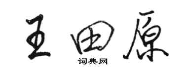 駱恆光王田原行書個性簽名怎么寫