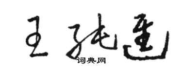 駱恆光王純進草書個性簽名怎么寫