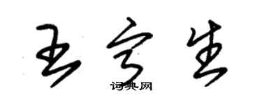 朱錫榮王寧生草書個性簽名怎么寫